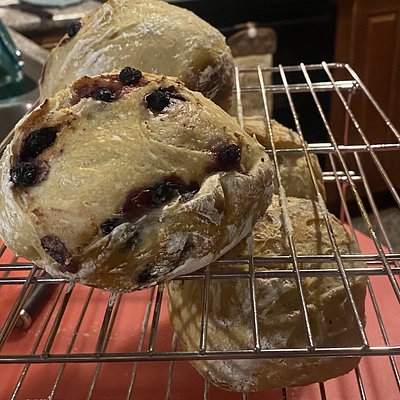 Mini Sourdough Loafs 