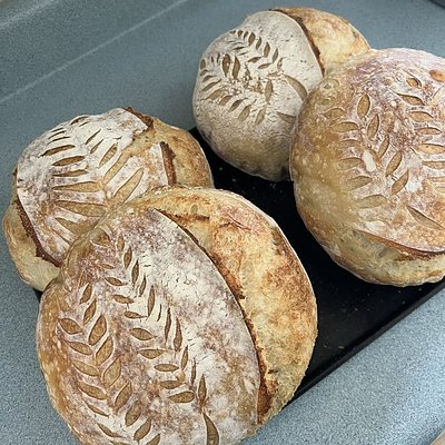 Plain Sourdough Loaf 