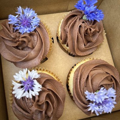12 Count Vanilla Cupcakes with Cream Cheese Frosting 