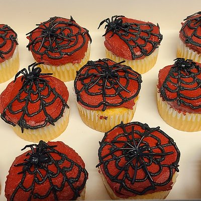  Standard Size Cupcakes 