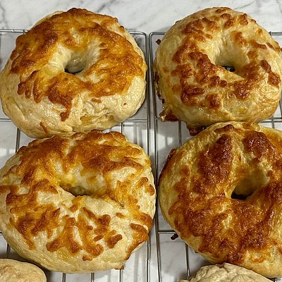 6 Pack Large Bagels 
