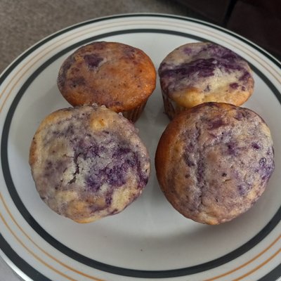 Blueberry Muffins - 9 