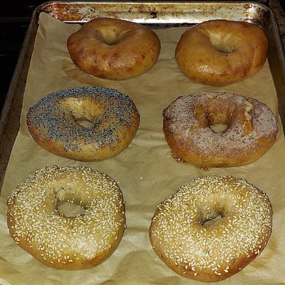 Sourdough Bagels - 1/2 Dozen