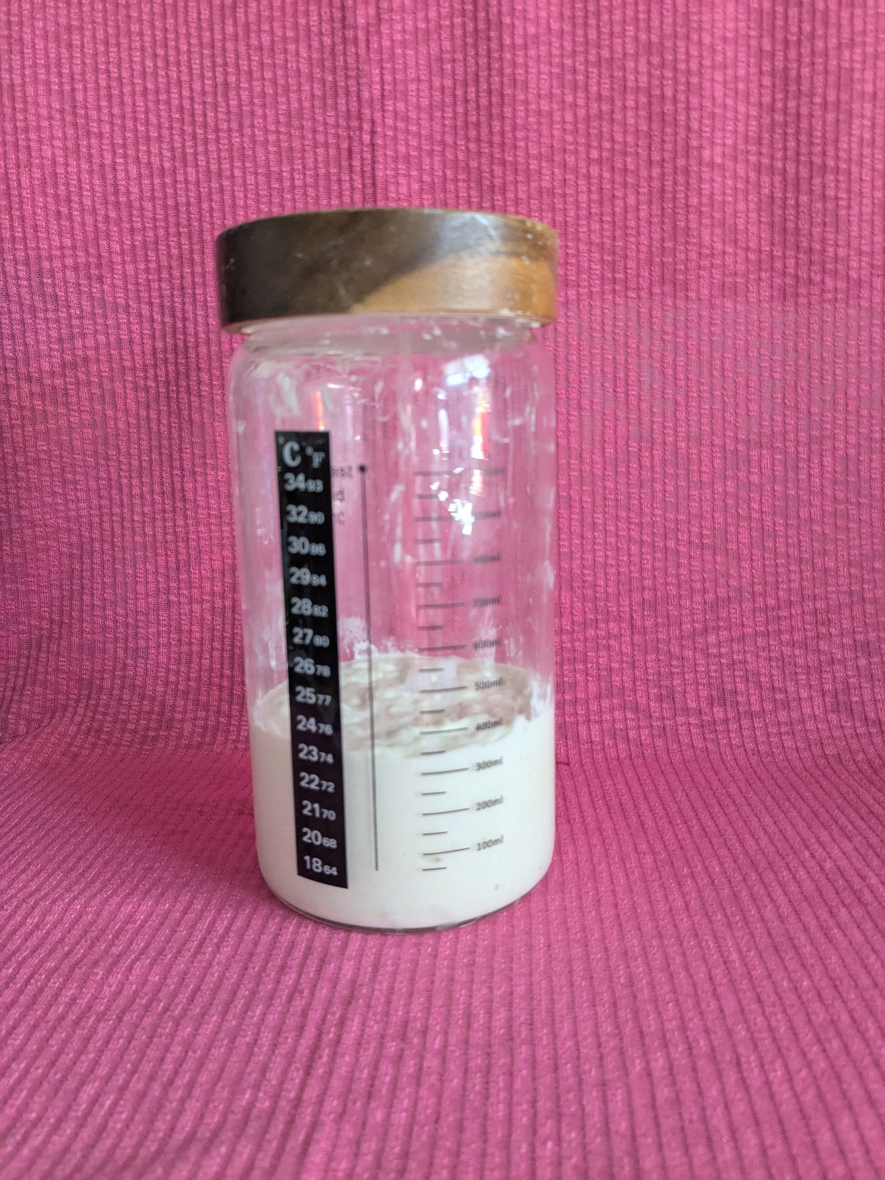 Active Sourdough Starter