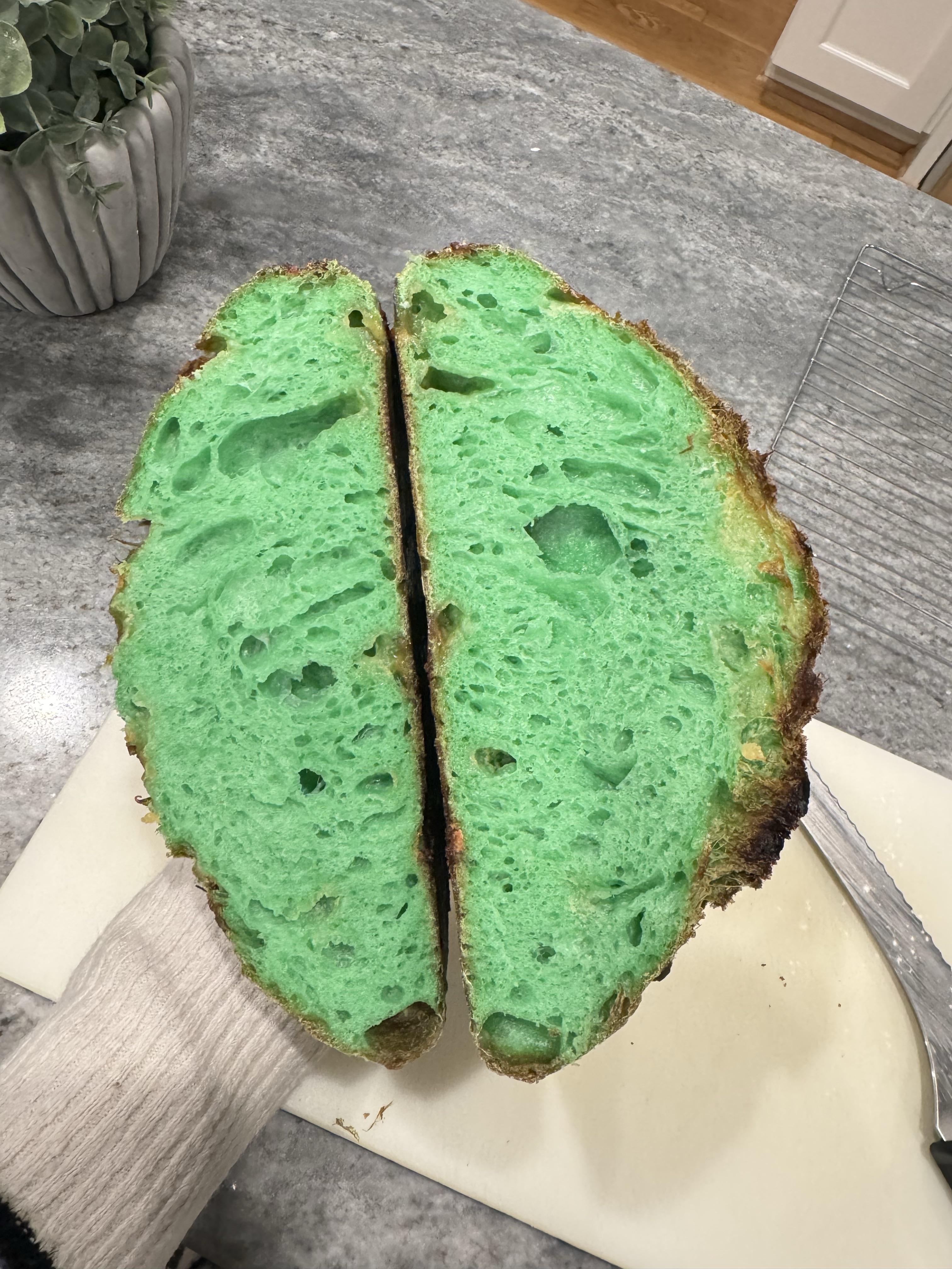White Chocolate Shamrock ☘️ 