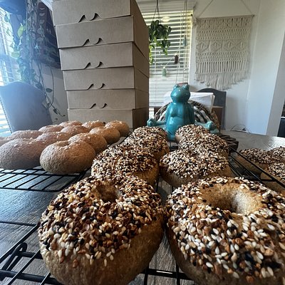 Everything Bagel 6 Pack