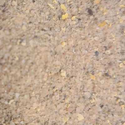 Lemon Pink Himalayan Salt 