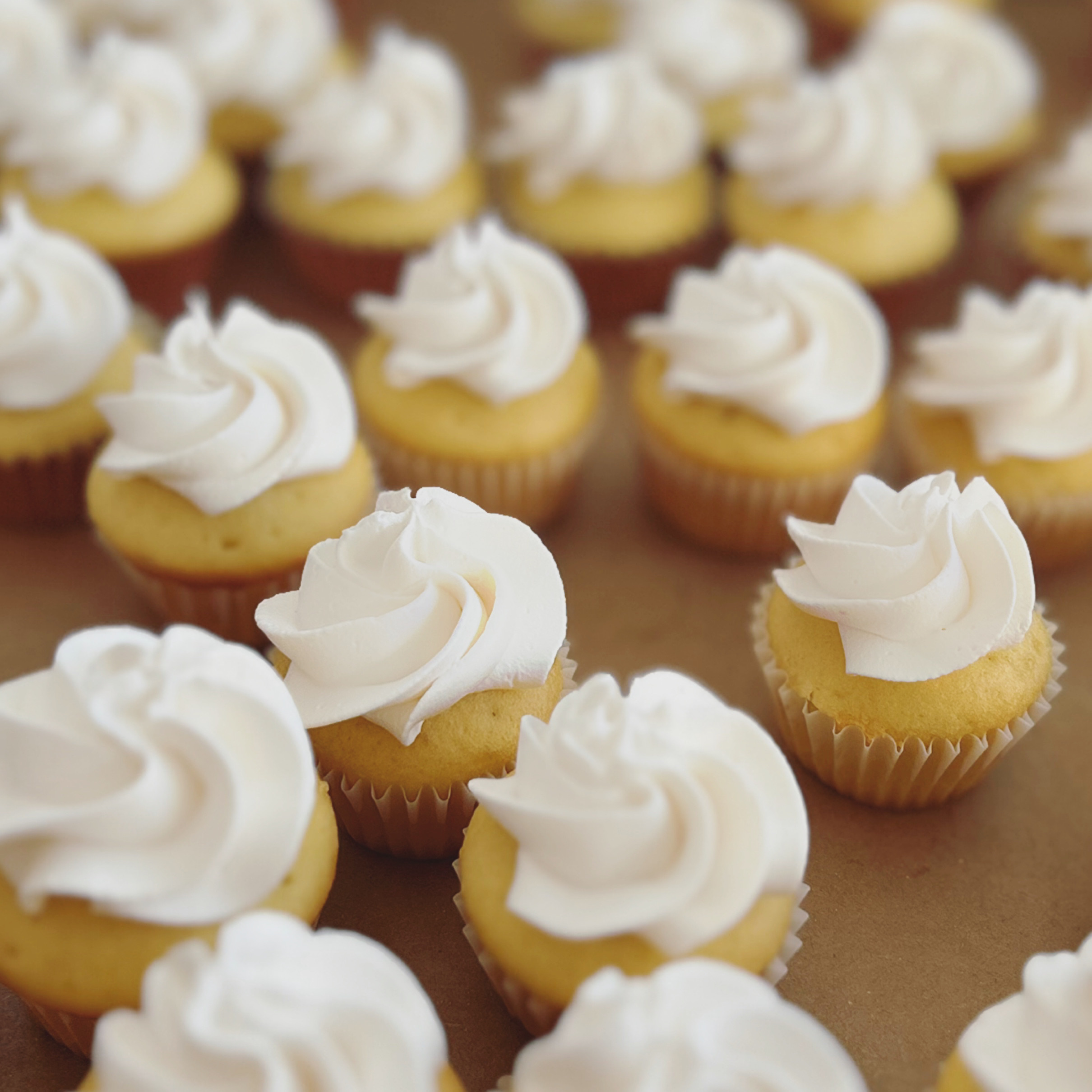 Mini Vanilla Cupcakes