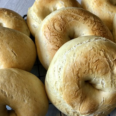 6 Pack of Plain Bagels
