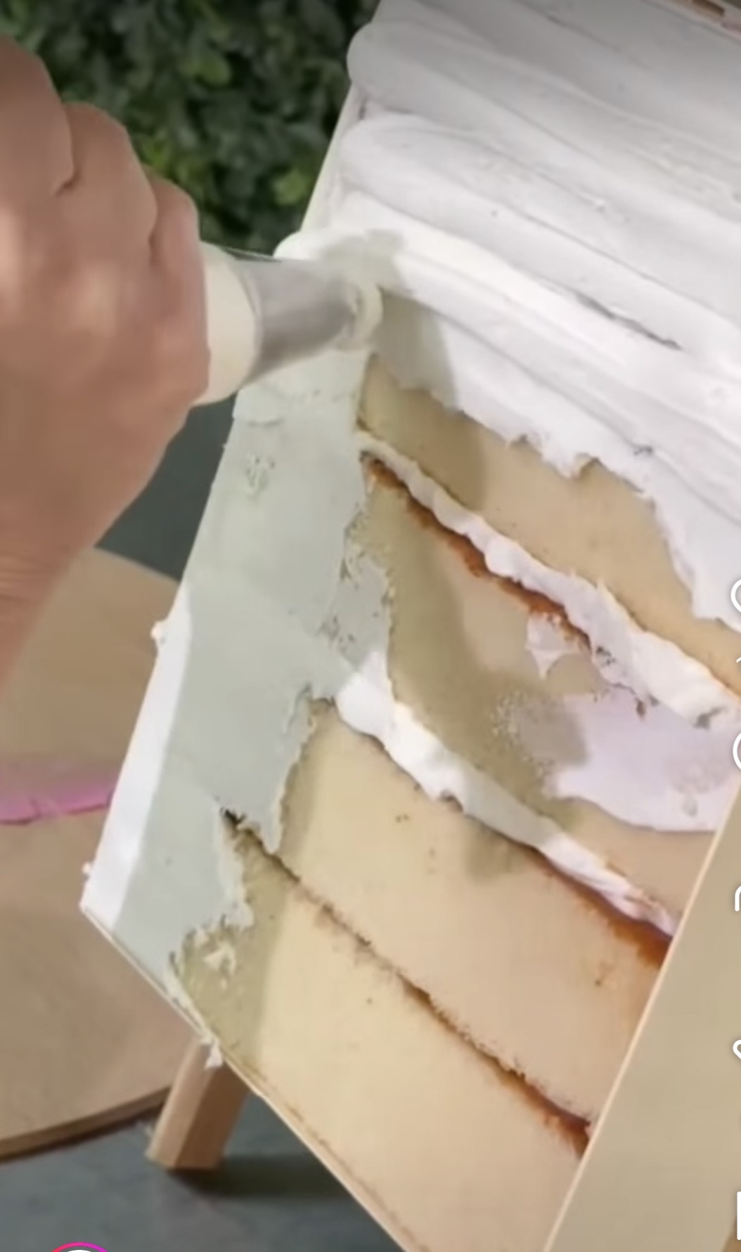 Paint A CAKE On Canvas Class Early Bird Special