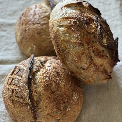 Everyday Sourdough Bread - Texas Style - Organic