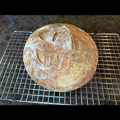 Plain Sourdough