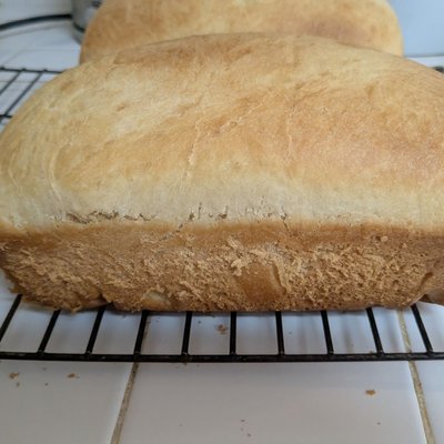 Organic Artisanal Potato Bread