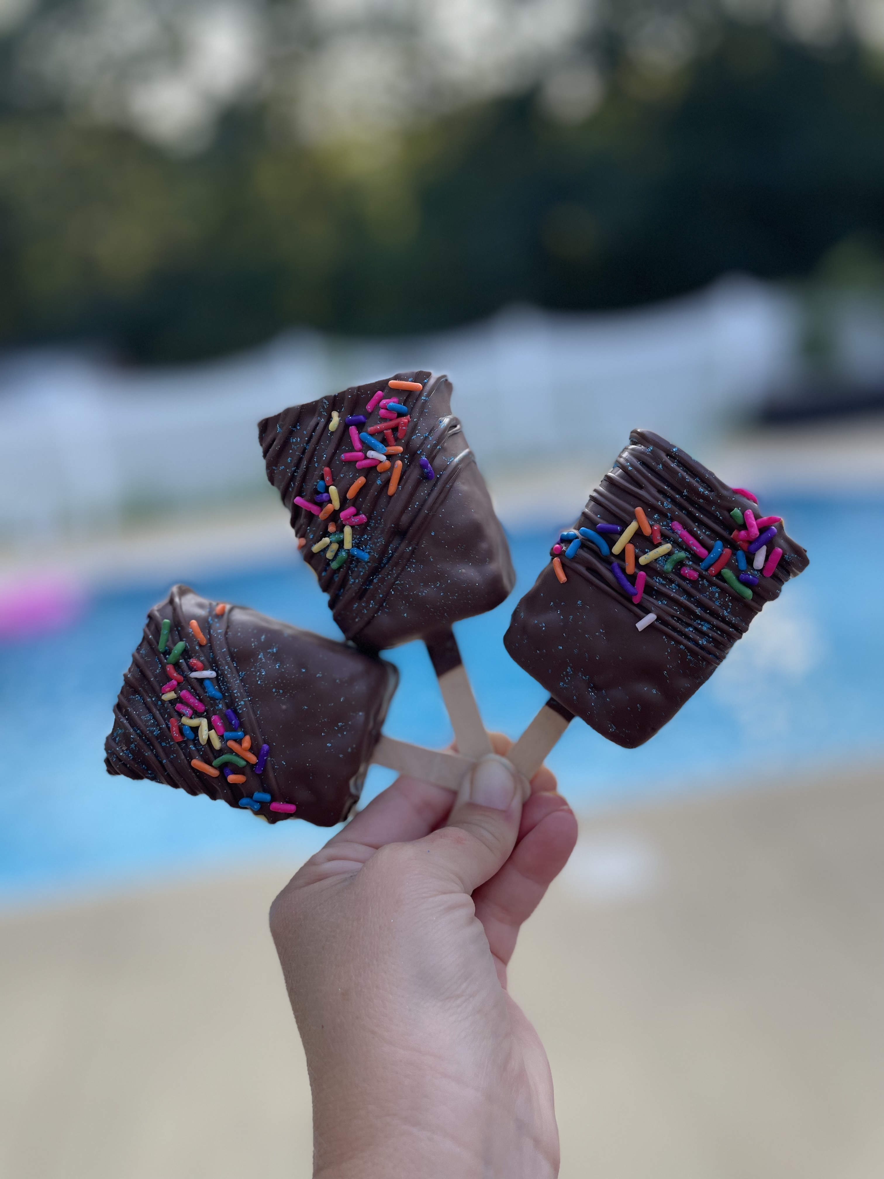 Chocolate Covered Rice Krispy Treats