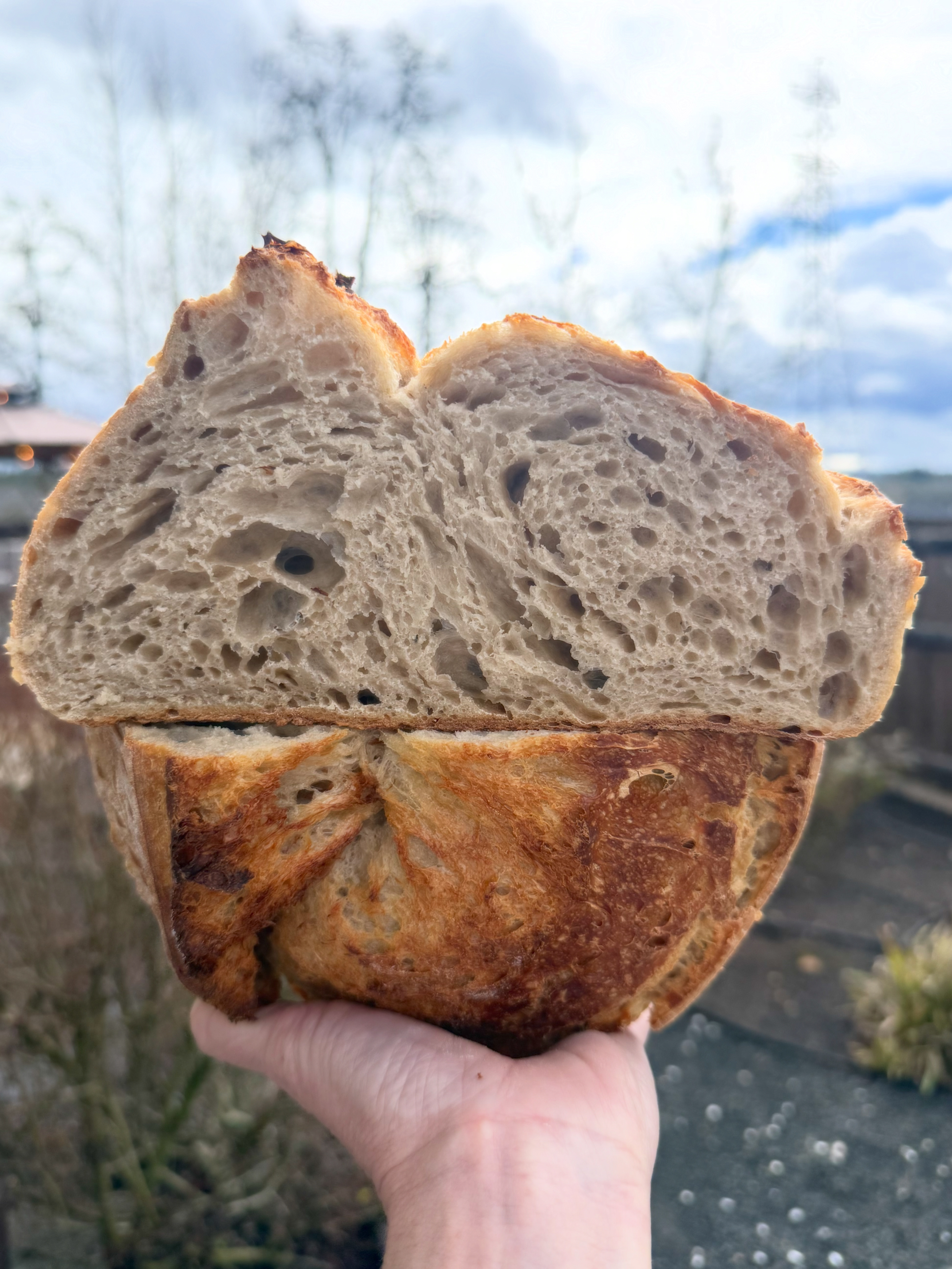 London Fog Sourdough 