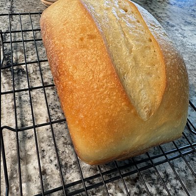 Sourdough Sandwich loaf