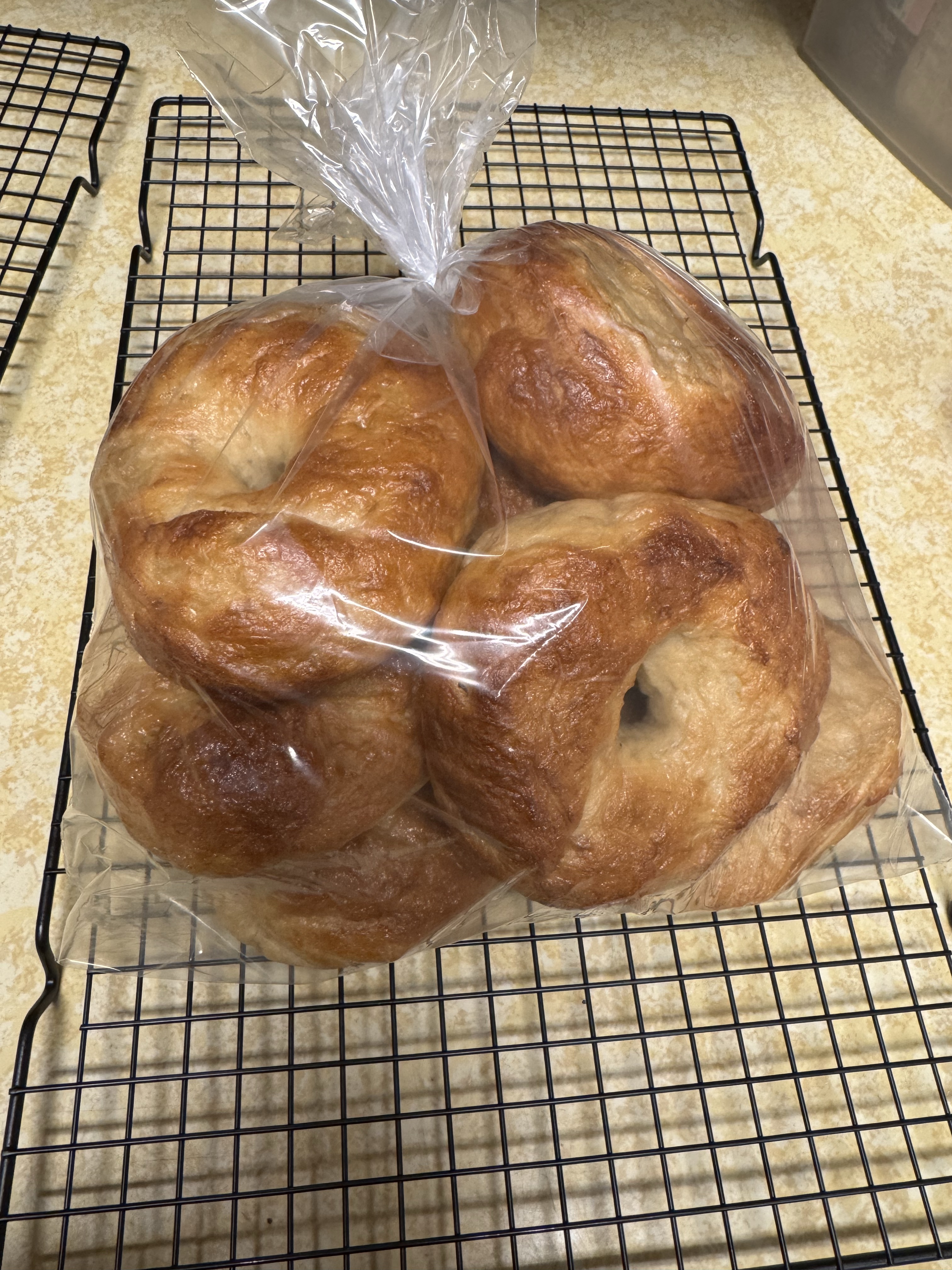 Plain Bagels (6)