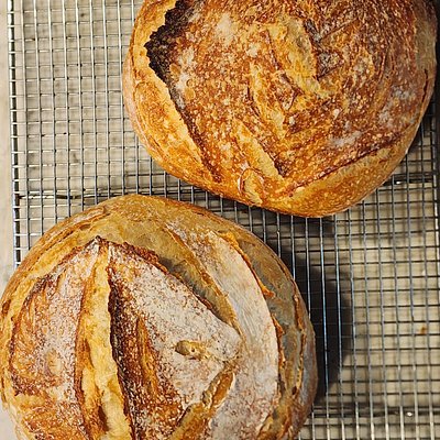 Sourdough (Black Rock) 