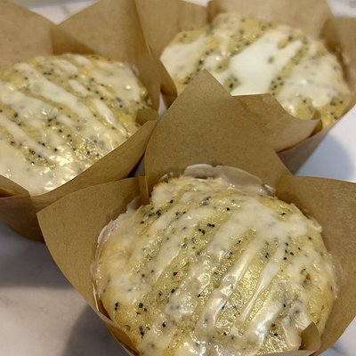 Lemon Poppyseed Sourdough Muffins