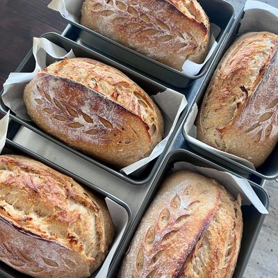 Brown Butter & roasted Garlic Cheddar Sourdough 