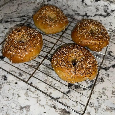 4 Count - Everything Bagel