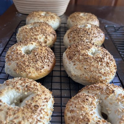 Onion Bagels (4)