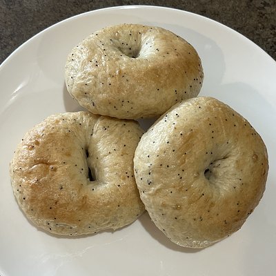 Everything Bagels (8)