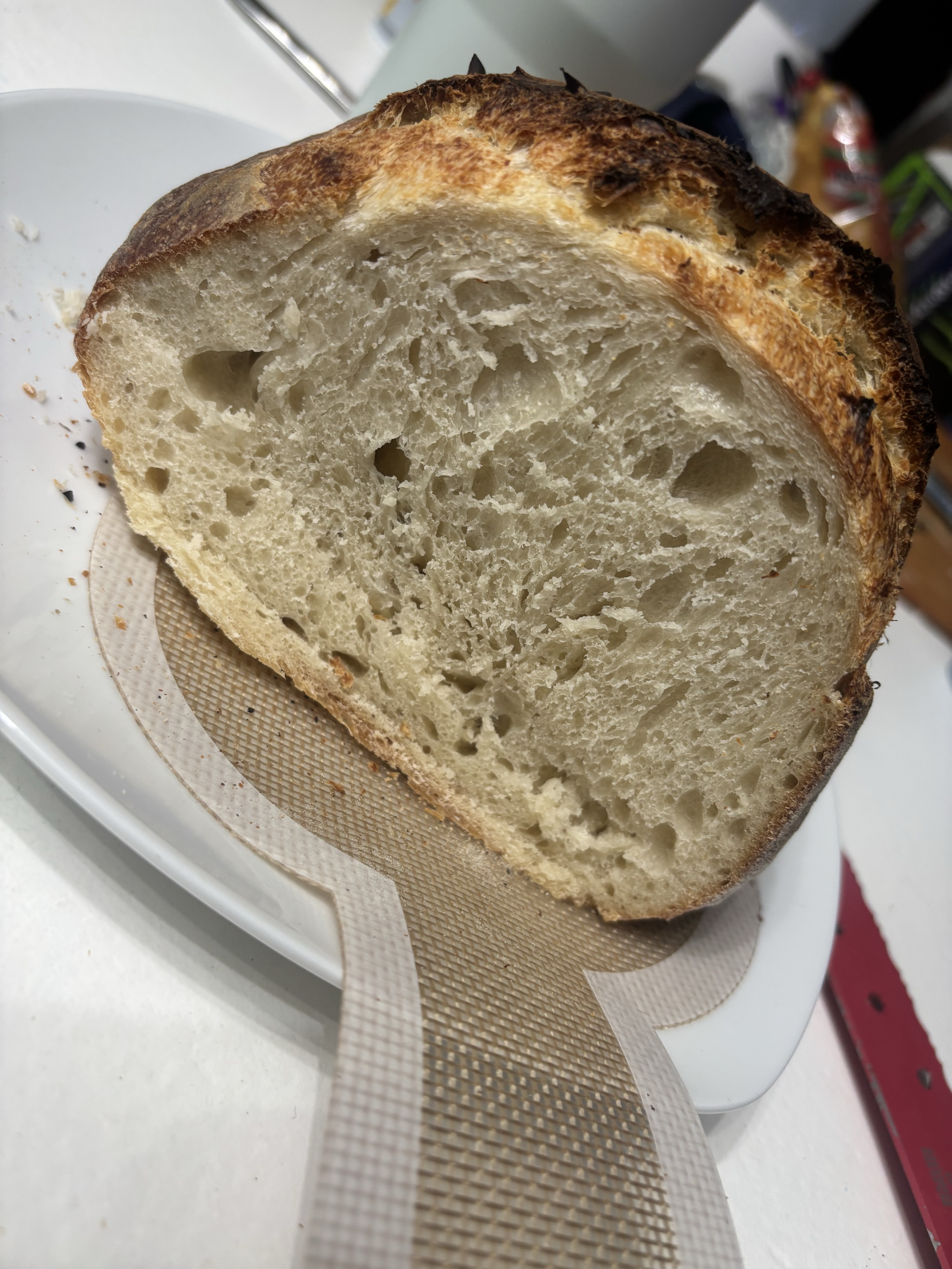 Sourdough Loaf Regular 