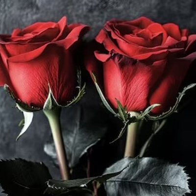 + Add 2 Extra Roses