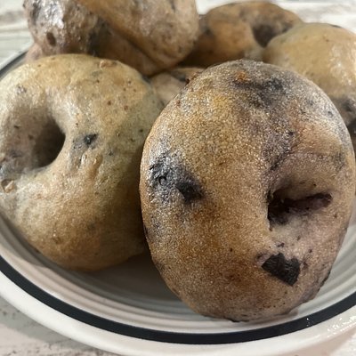 Blueberry Bagel 