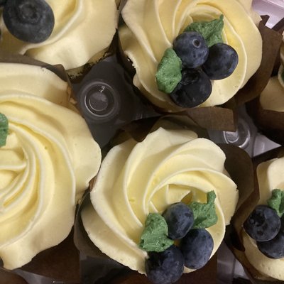 Gourmet Cupcakes