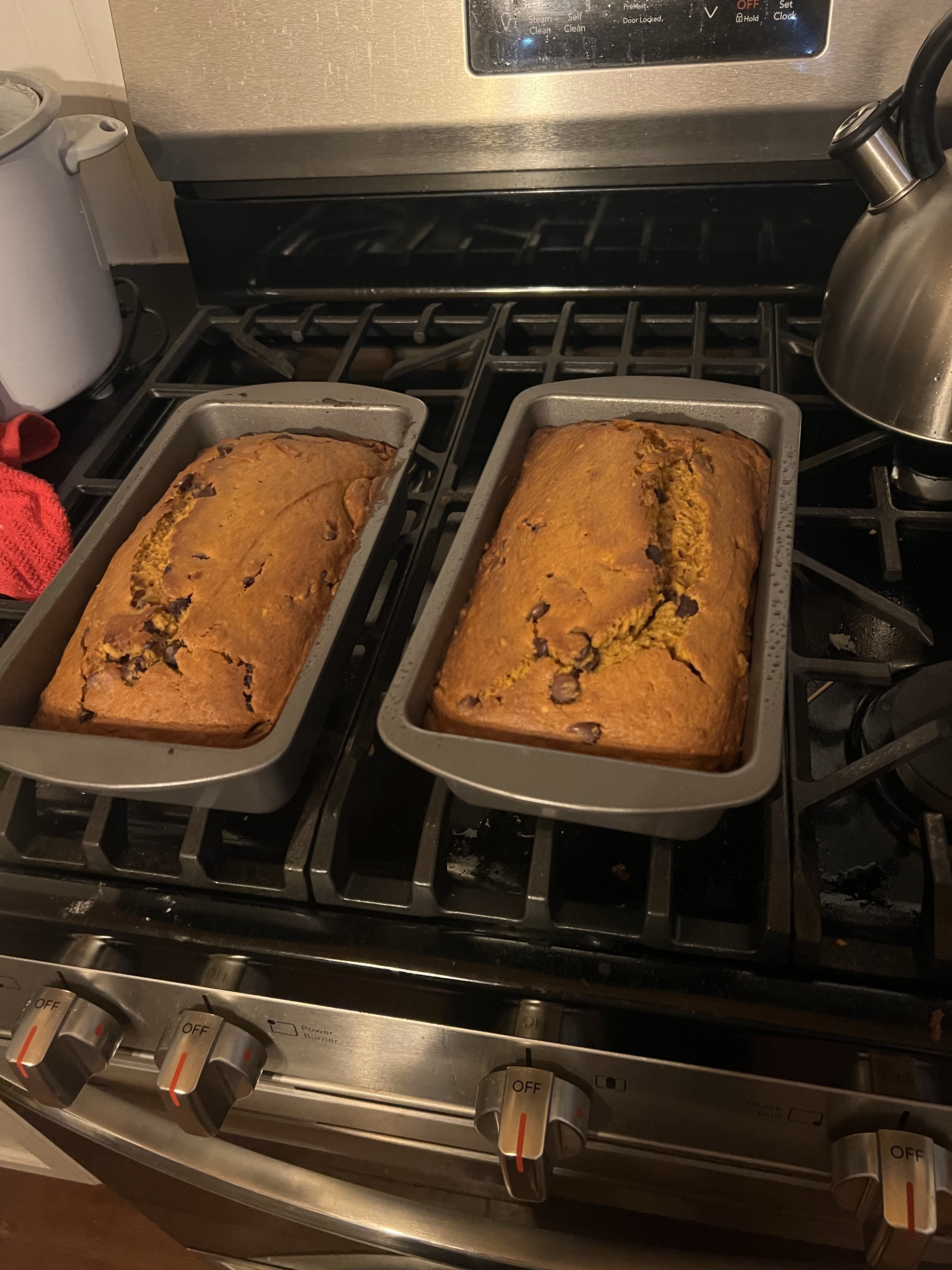Chocolate Chip Pumpkin Bread 