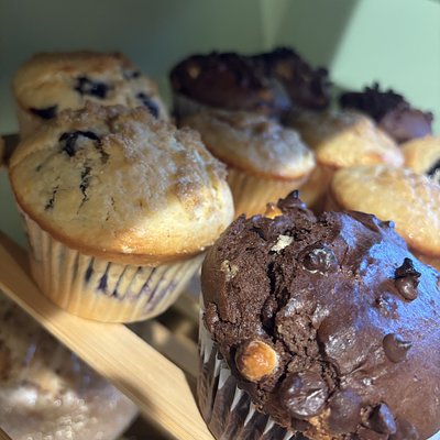 Giant Muffins-6pk.