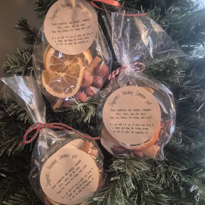 Zeppelin's Holiday Simmer Pot 2pk