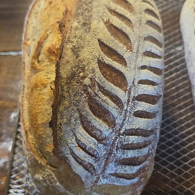 Plain Sourdough Loaf