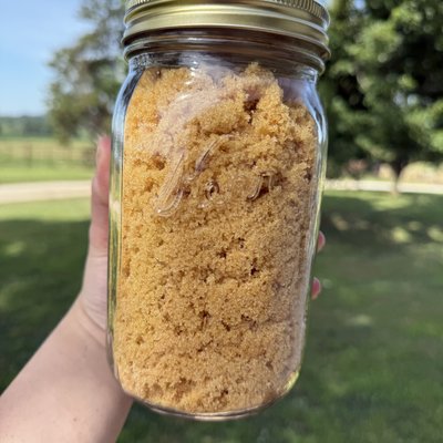 Pint Sized Jar Of Homemade Brown Sugar 