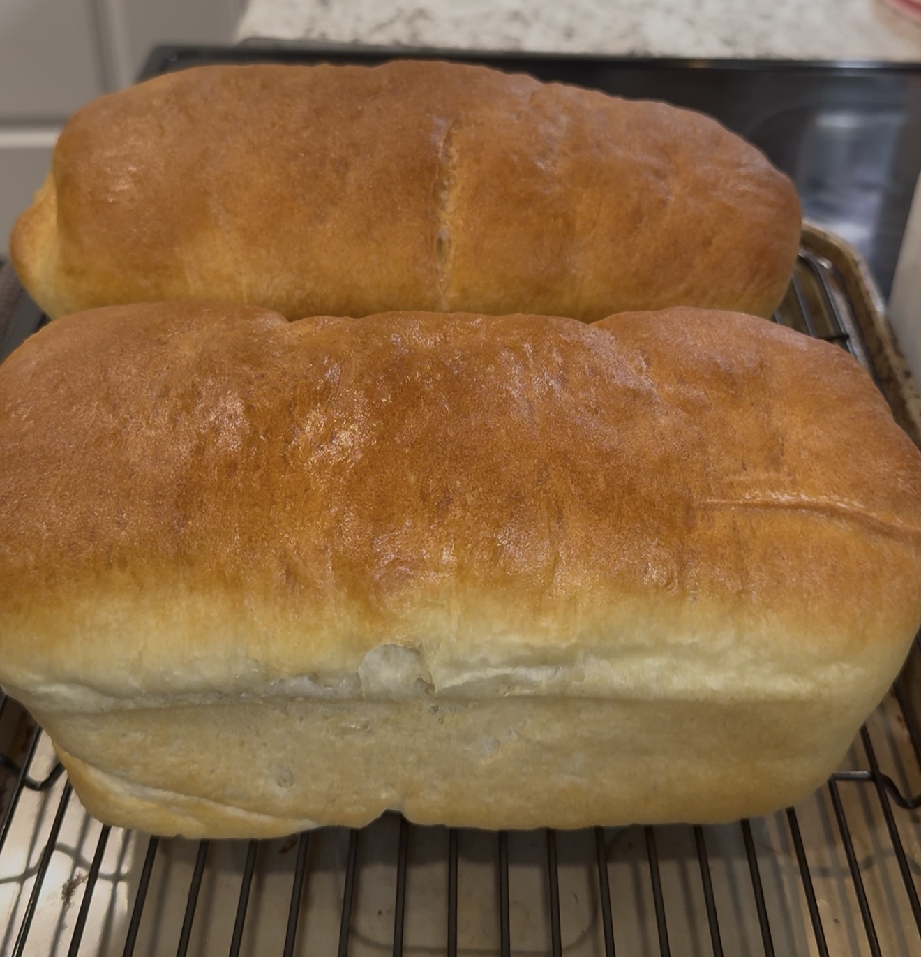 Bread Loaves 