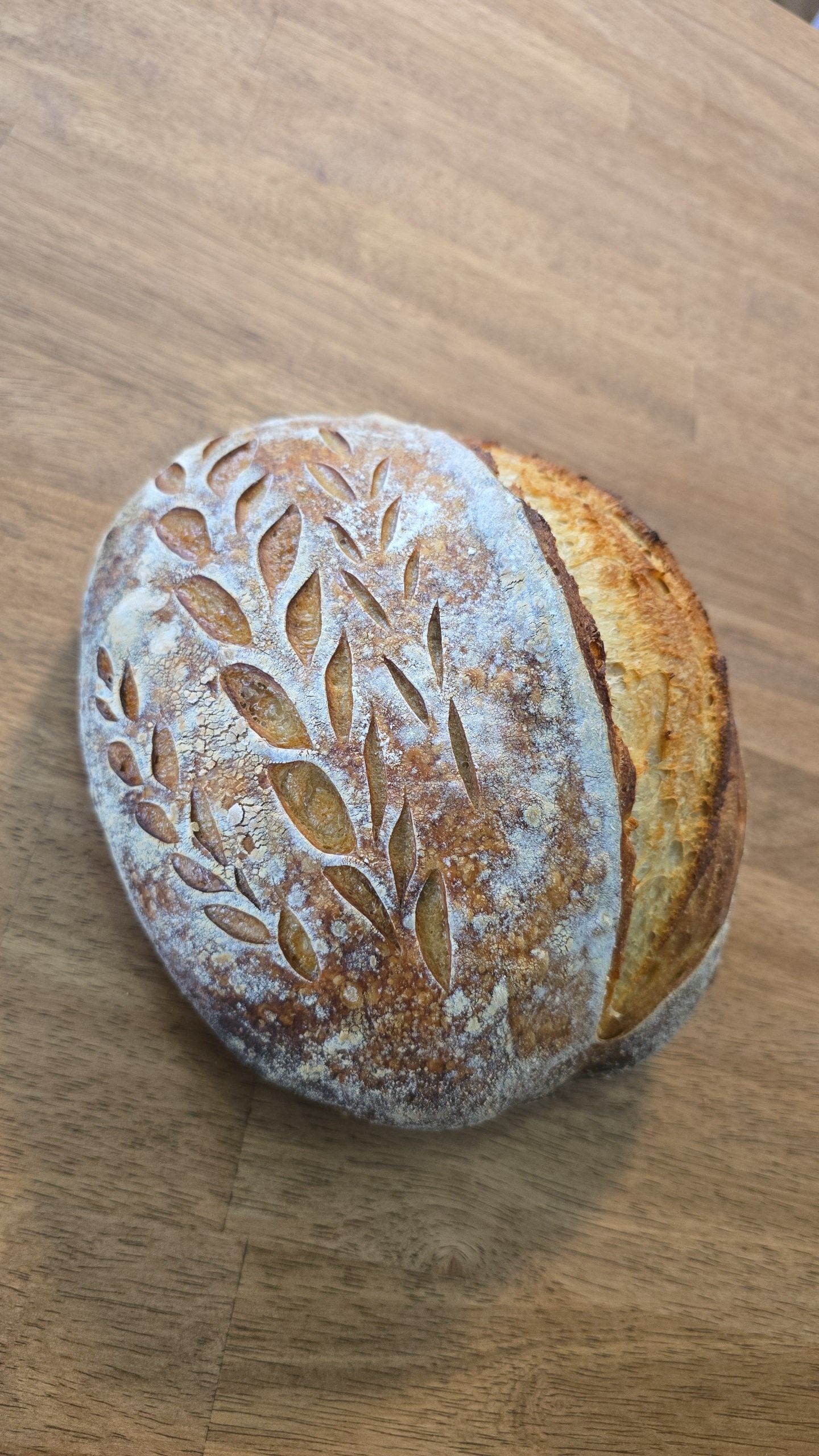 Plain Sourdough