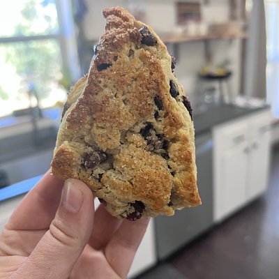 Chocolate Chip Sourdough Scones (2pk)