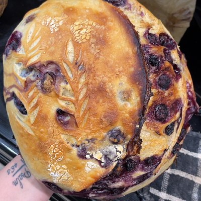 Lemmon Blueberry Spurdough 
