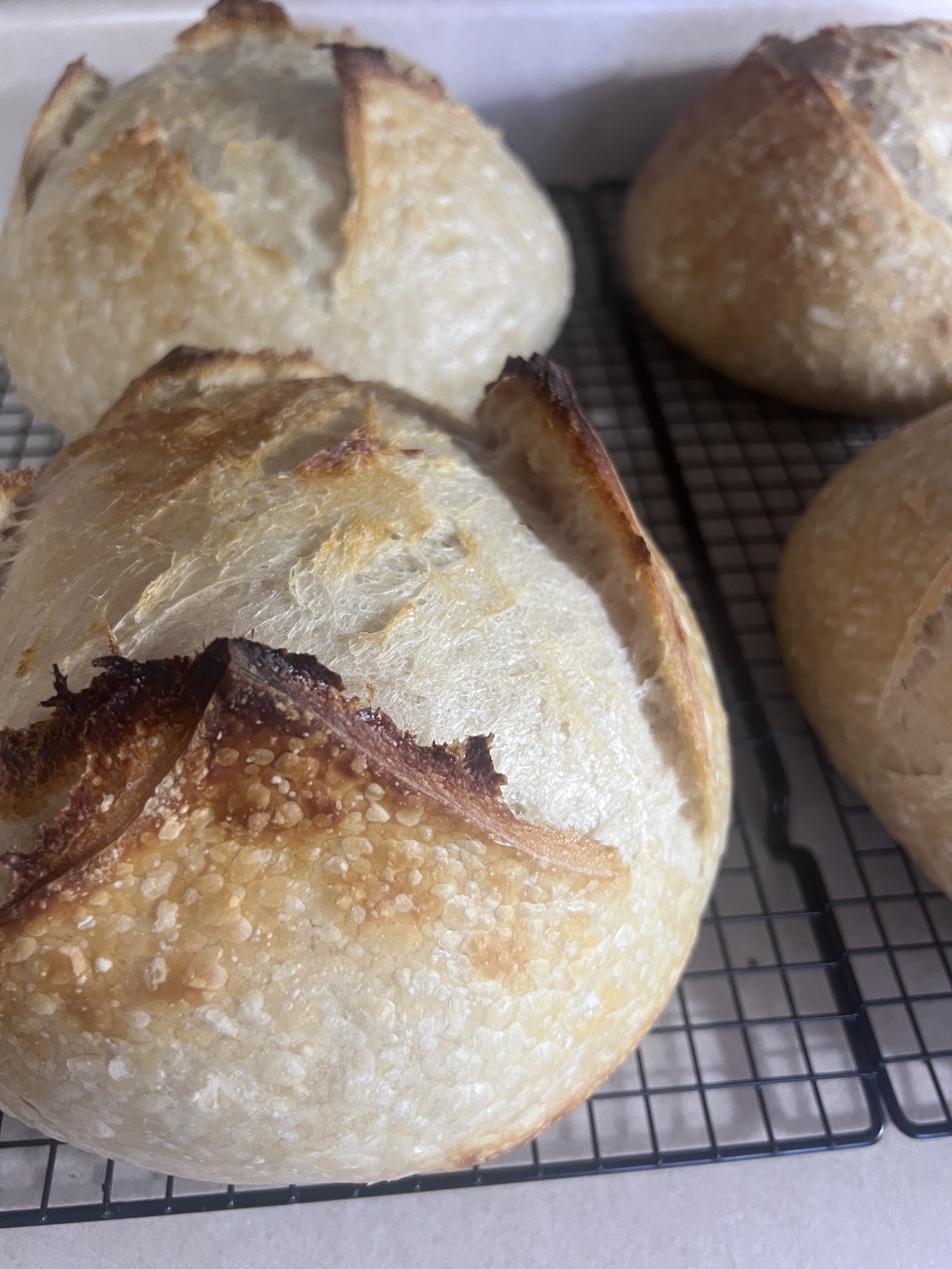 Sourdough