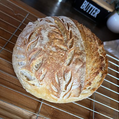 Sourdough Bread