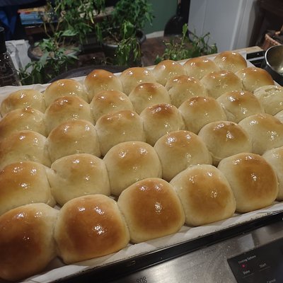Soft Dinner Rolls