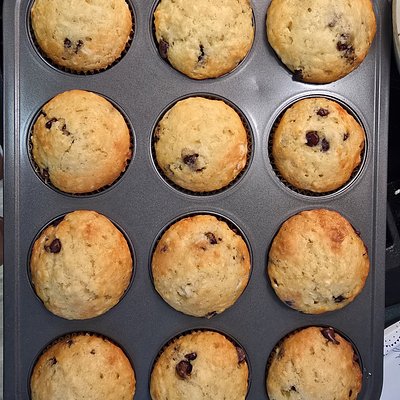 Chocolate Chip Sourdough Muffins