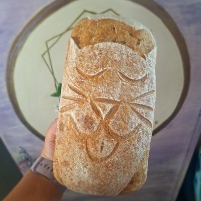 True Sourdough 