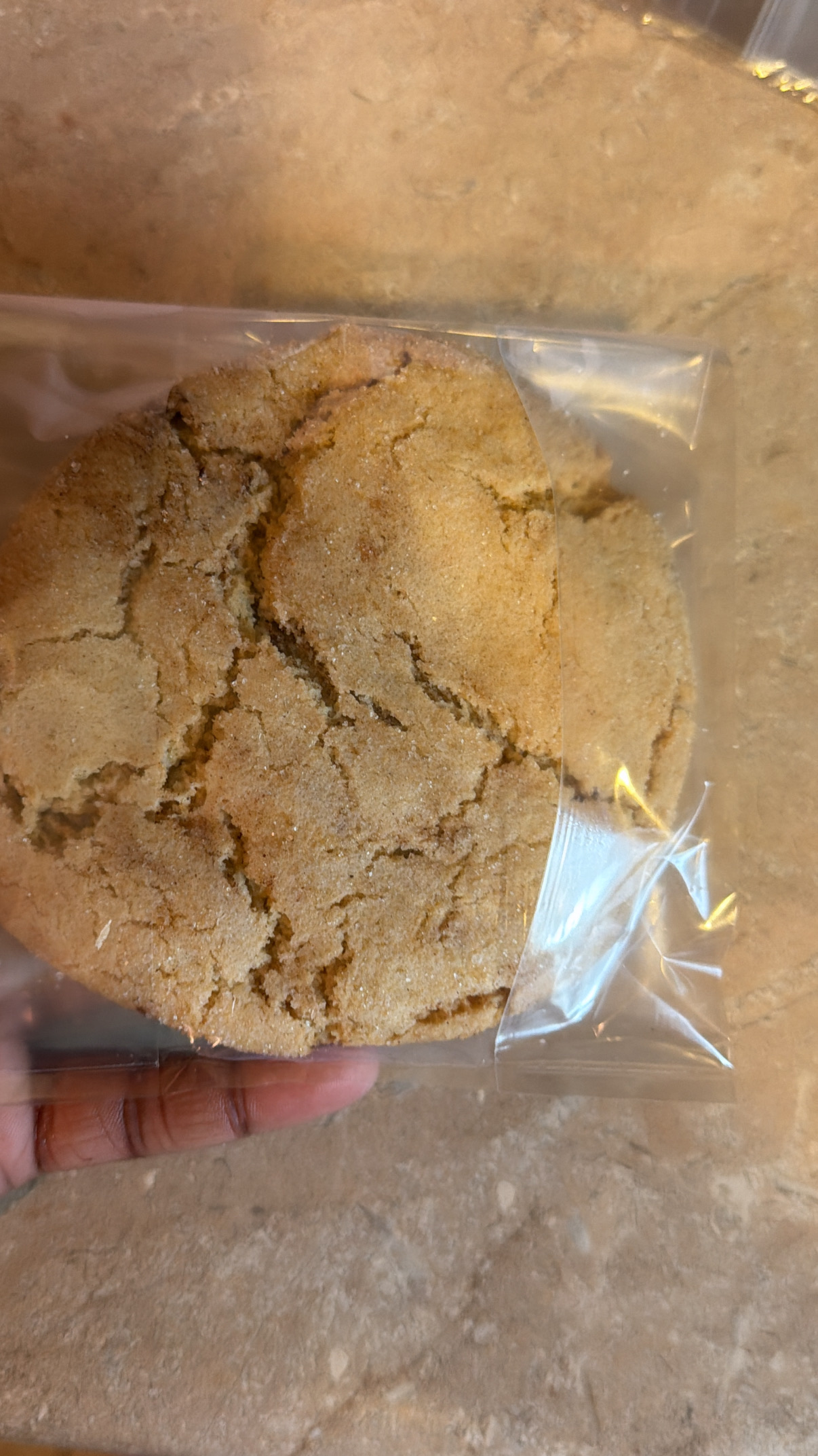 Snickerdoodle Cookie