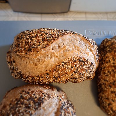 Everything Bagel Sourdough Small Loaf 