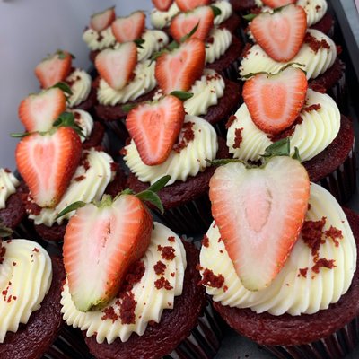 Gormet Cupcakes 