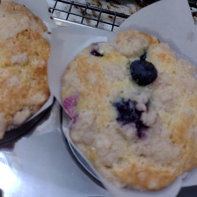 6 Blueberry Muffins