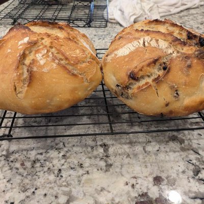 🌶️ Cheddar Jalapeno Sourdough 